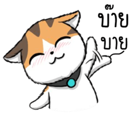 Soidow2(thai) sticker #7863251