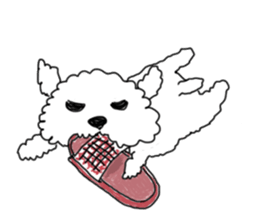 DD and the slipper sticker #7866054