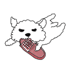 DD and the slipper sticker #7866054