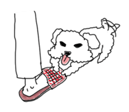 DD and the slipper sticker #7866056