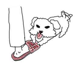 DD and the slipper sticker #7866056