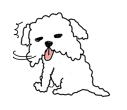 DD and the slipper sticker #7866057