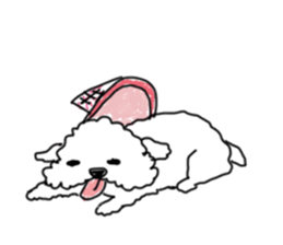 DD and the slipper sticker #7866074