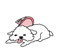 DD and the slipper sticker #7866074