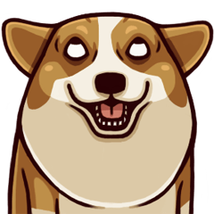 Corgi JoJo