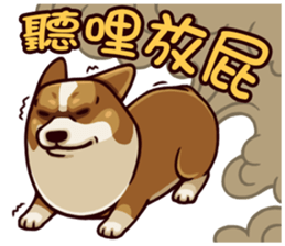 Corgi JoJo sticker #7868657