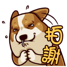 Corgi JoJo sticker #7868664