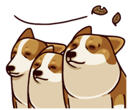 Corgi JoJo sticker #7868672