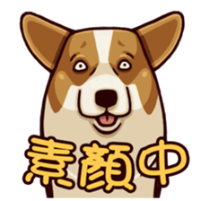 Corgi JoJo sticker #7868673