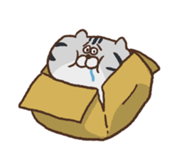 100 neco!! -Full of Cats- sticker #7869327