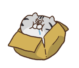 100 neco!! -Full of Cats- sticker #7869327