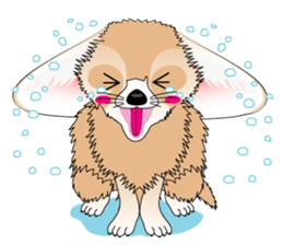 Fennec Fox is smallest fox in the world. sticker #7869456