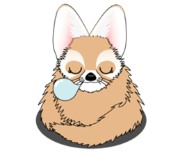 Fennec Fox is smallest fox in the world. sticker #7869474