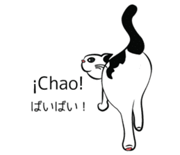 Latin cat sticker #7872922