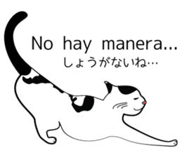Latin cat sticker #7872927