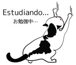 Latin cat sticker #7872938