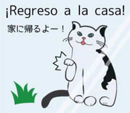Latin cat sticker #7872941