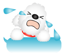 White dog Chiro sticker #7873108