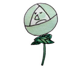 Roses sticker #7879407