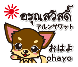 Chihuahuas Japanese & Thai sticker sticker #7880956