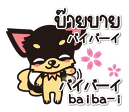 Chihuahuas Japanese & Thai sticker sticker #7880958