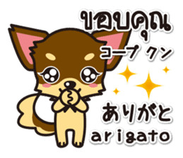 Chihuahuas Japanese & Thai sticker sticker #7880961