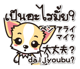 Chihuahuas Japanese & Thai sticker sticker #7880963