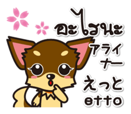 Chihuahuas Japanese & Thai sticker sticker #7880968