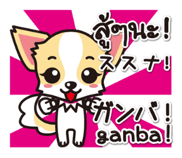 Chihuahuas Japanese & Thai sticker sticker #7880970