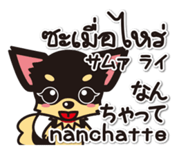 Chihuahuas Japanese & Thai sticker sticker #7880972
