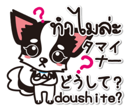 Chihuahuas Japanese & Thai sticker sticker #7880974