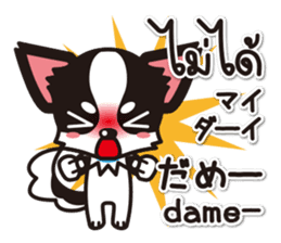 Chihuahuas Japanese & Thai sticker sticker #7880981