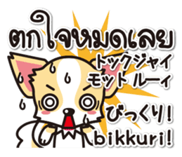 Chihuahuas Japanese & Thai sticker sticker #7880983