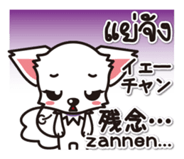 Chihuahuas Japanese & Thai sticker sticker #7880985