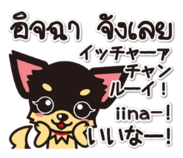 Chihuahuas Japanese & Thai sticker sticker #7880986