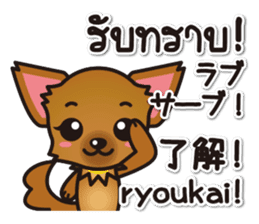 Chihuahuas Japanese & Thai sticker sticker #7880987
