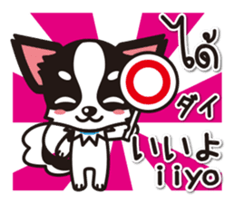 Chihuahuas Japanese & Thai sticker sticker #7880988