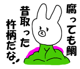 COOL rabbit BUDO sticker #7881526
