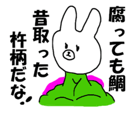 COOL rabbit BUDO sticker #7881526