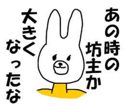 COOL rabbit BUDO sticker #7881546