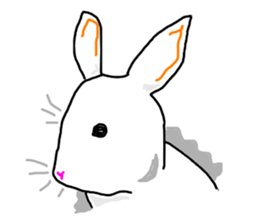 COOL rabbit BUDO sticker #7881552