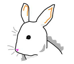COOL rabbit BUDO sticker #7881552