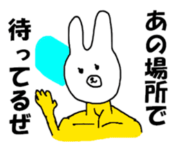 COOL rabbit BUDO sticker #7881554
