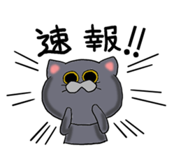 British Shorthair koume sticker #7885886