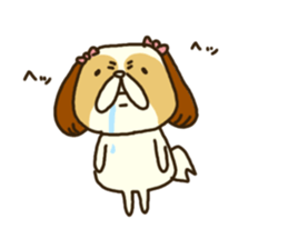 Shih Tzu 1 sticker #7885985