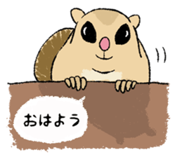 Fiyng squirrel and nocturnal animals sticker #7887924