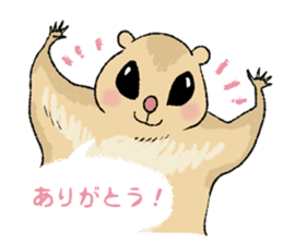 Fiyng squirrel and nocturnal animals sticker #7887927