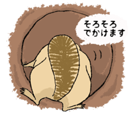 Fiyng squirrel and nocturnal animals sticker #7887928