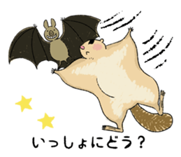 Fiyng squirrel and nocturnal animals sticker #7887933