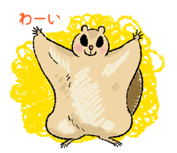 Fiyng squirrel and nocturnal animals sticker #7887936